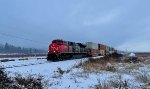 CN 8842/2593 pulling a 5 unit double stack W/B through the Colebrook Siding on one of the few snow covered days in January, 2024. 